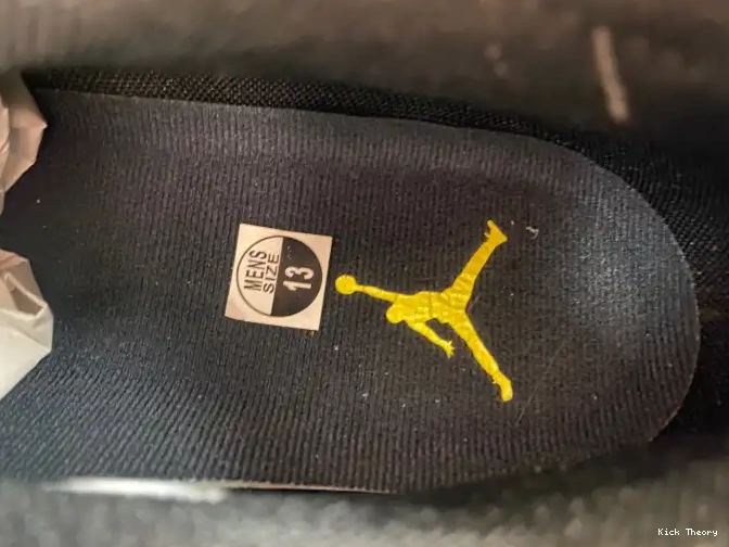 Kick Theory FJ0395-100 Jordan 17 Lightning Low Air 0505